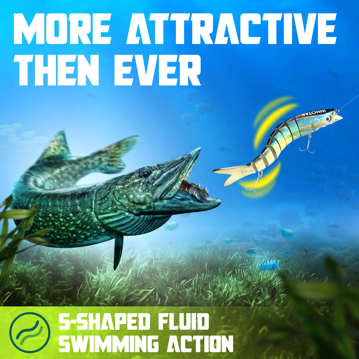 S-shaped fluid swimming action of INNOTAK shad swimbait attracting a northern pike