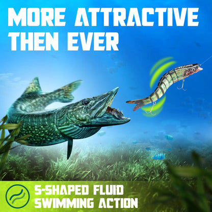 S-shaped fluid swimming action of INNOTAK rainbow trout swimbait attracting a northern pike