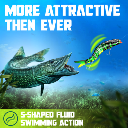 S-shaped fluid swimming action of INNOTAK jointed swimbait attracting a northern pike